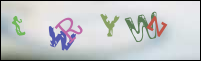 Imagen de Registro