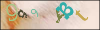Imagen de Registro