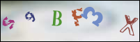 Imagen de Registro