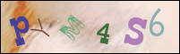 Imagen de Registro