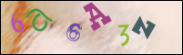 Imagen de Registro