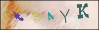 Imagen de Registro