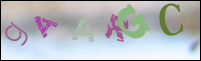 Imagen de Registro