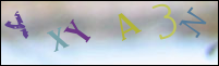 Imagen de Registro