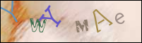 Imagen de Registro