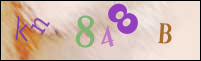Imagen de Registro