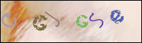 Imagen de Registro