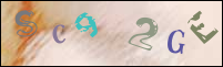 Imagen de Registro