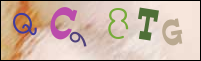 Imagen de Registro