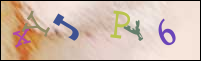 Imagen de Registro