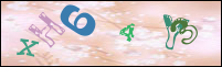 Imagen de Registro