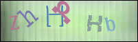 Imagen de Registro