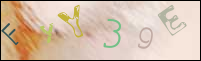 Imagen de Registro