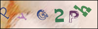 Imagen de Registro